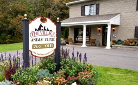 village animal hospital voorheesville ny.